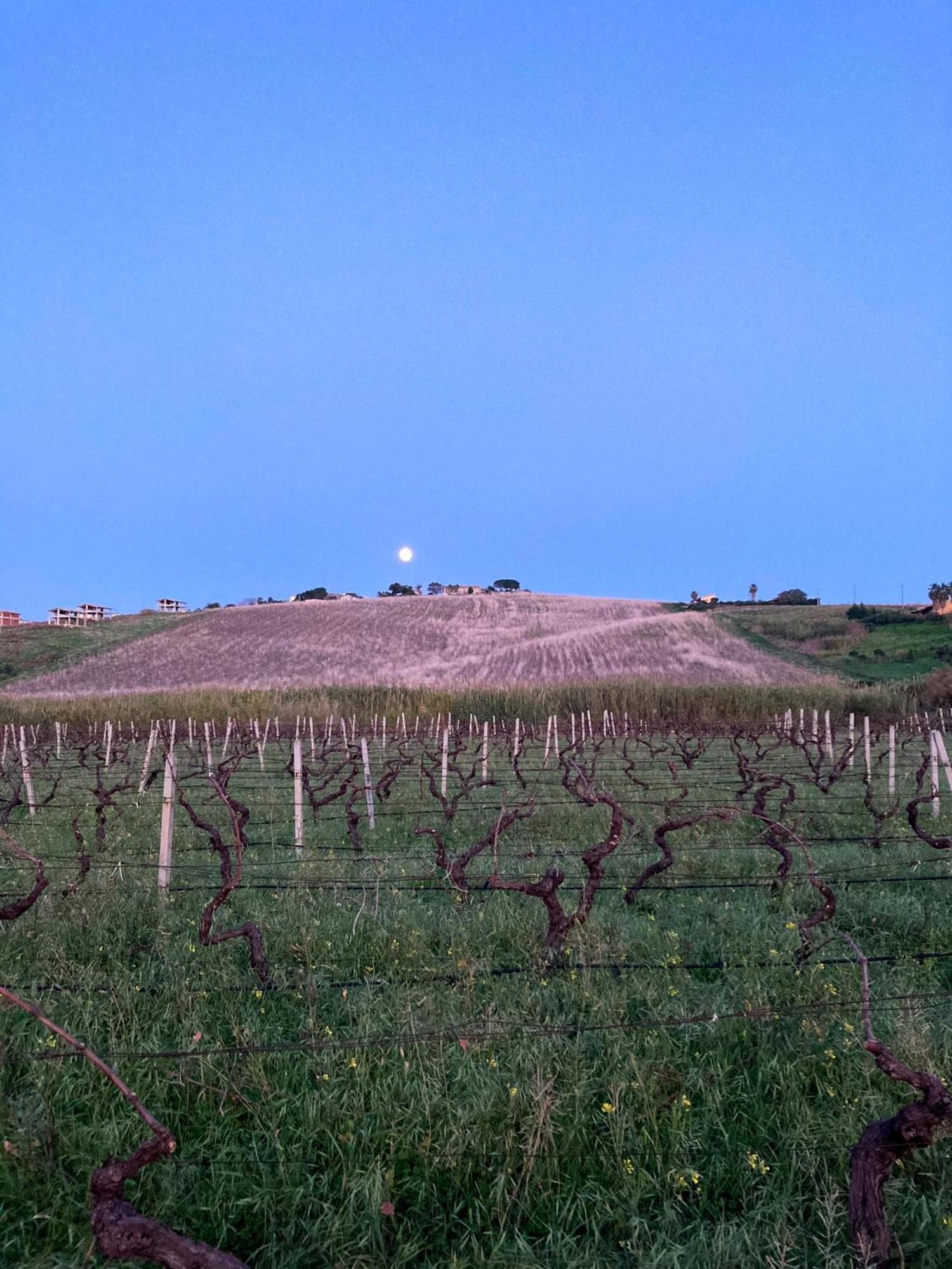 Fattoria Manostalla Villa Chiarelli Balestrate Dış mekan fotoğraf